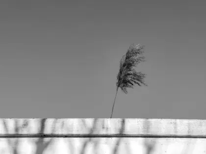 ΤΖΑΖΖ Καζίνο Κινητη εφαρμογη